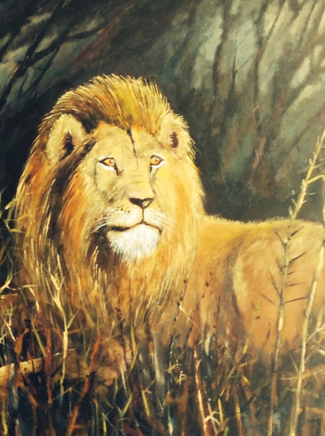 Lion