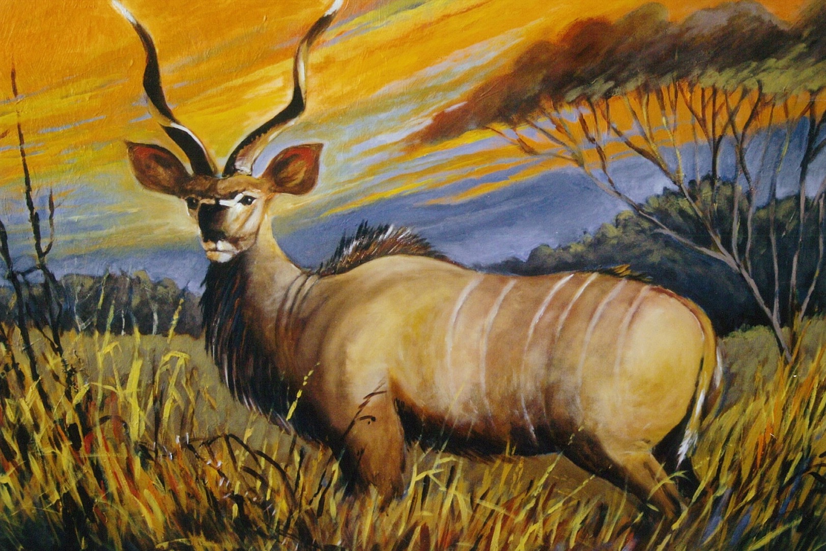Kudu
