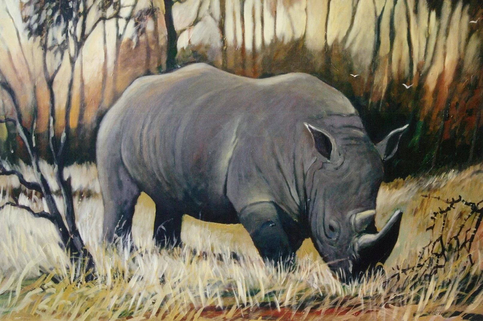 Rhino