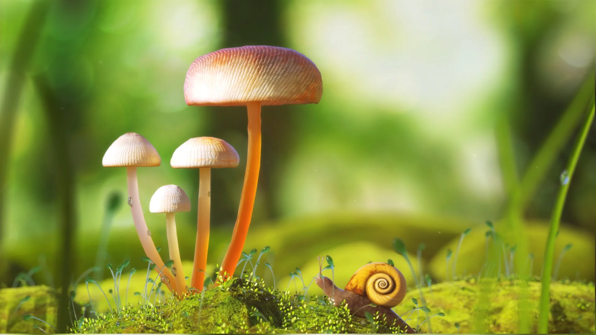 organic model_thumbnail.jpg