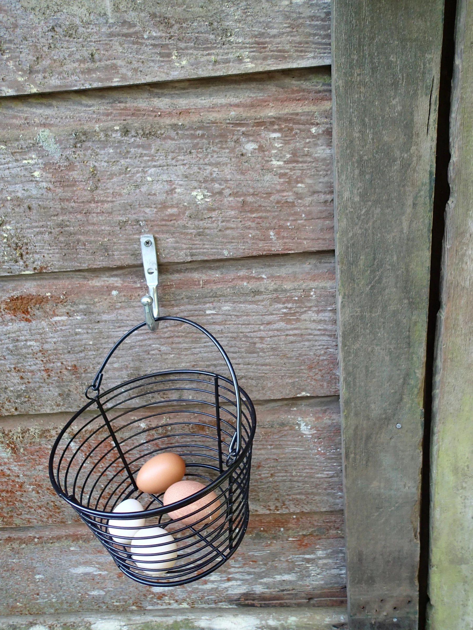 eggs in basket.jpg