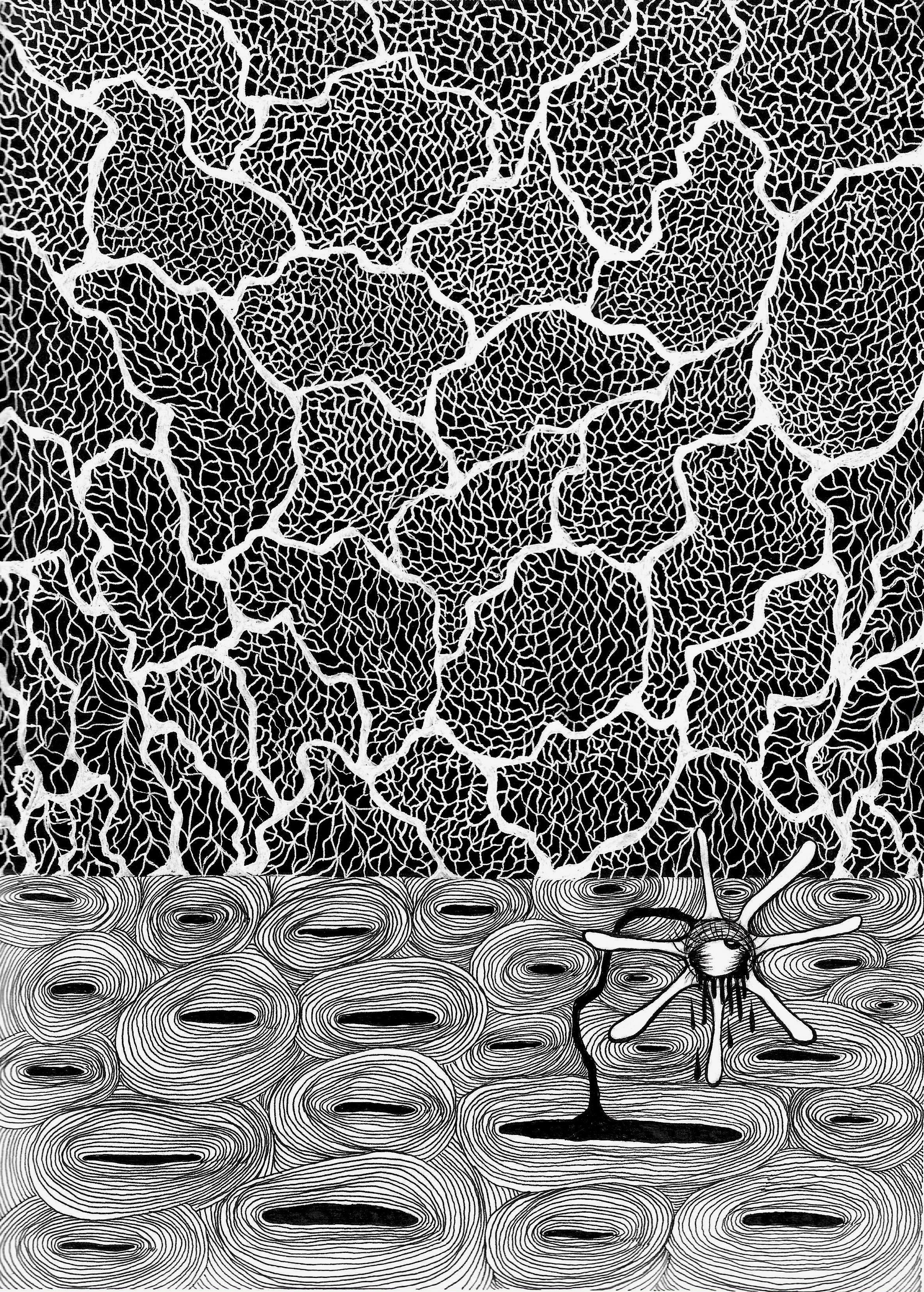 ADISCARDEDFLOWER copy.jpg