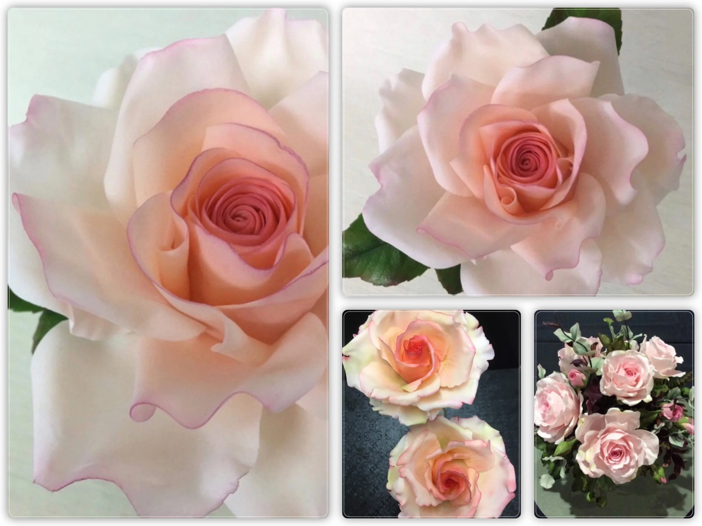 RoseCollage.jpg