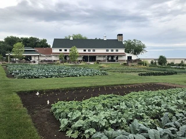 Taking a moment to appreciate the world around me. 🌱
⠀⠀⠀⠀⠀⠀⠀⠀⠀⠀
This was 2019. At the time I took this picture, I had been immersed in an amazingly hectic and inspirational work trip across the country. At this very moment, I had taken a brief pause