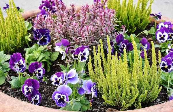 carl schurz park.jpg