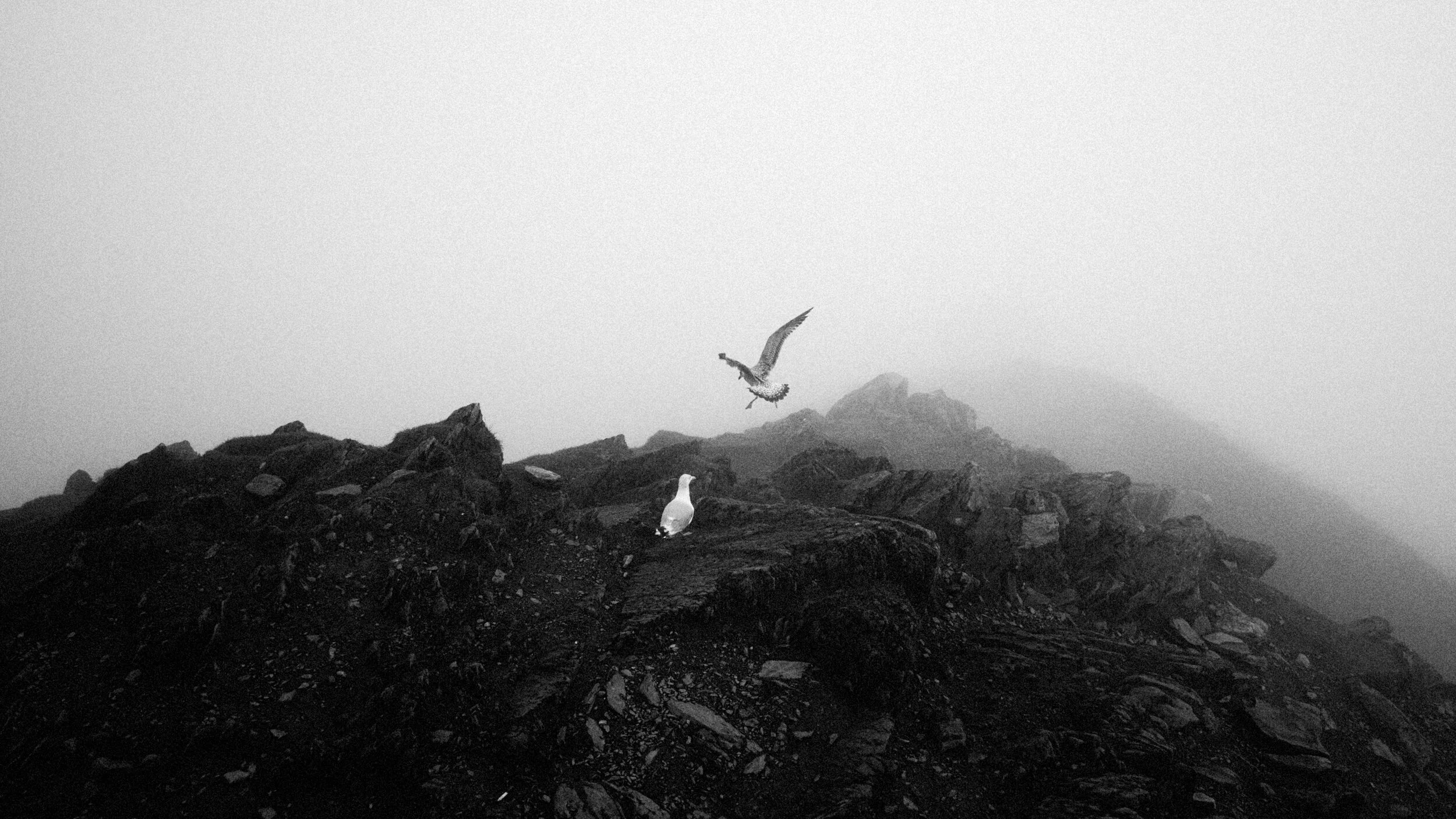 mount-snowdon-charity-climb-event-photographer-024.JPG