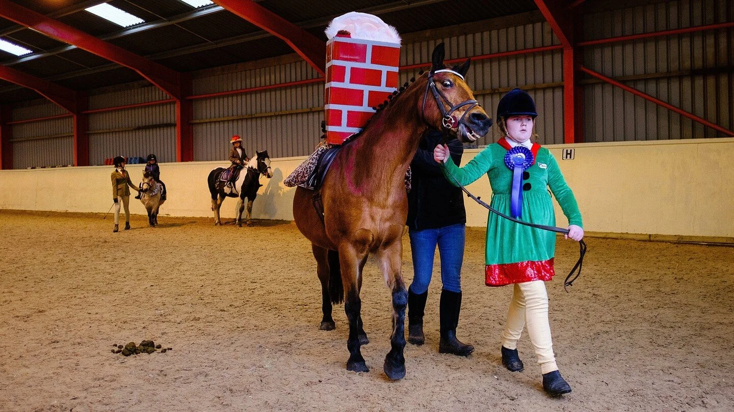 Swear he knew #documentaryphotographer #horse