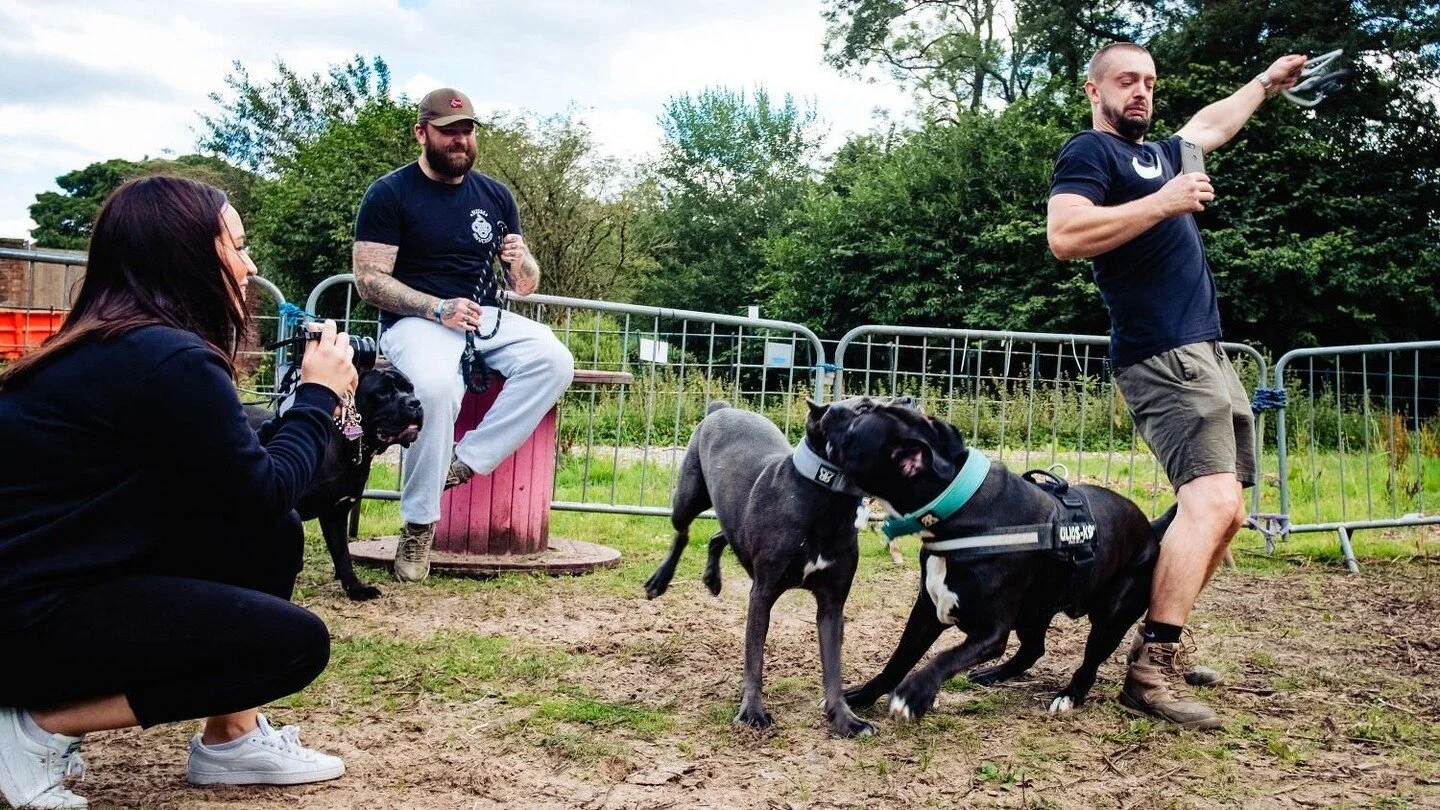 #notjustweddings #documentary #dogs