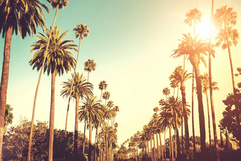 la.jpg