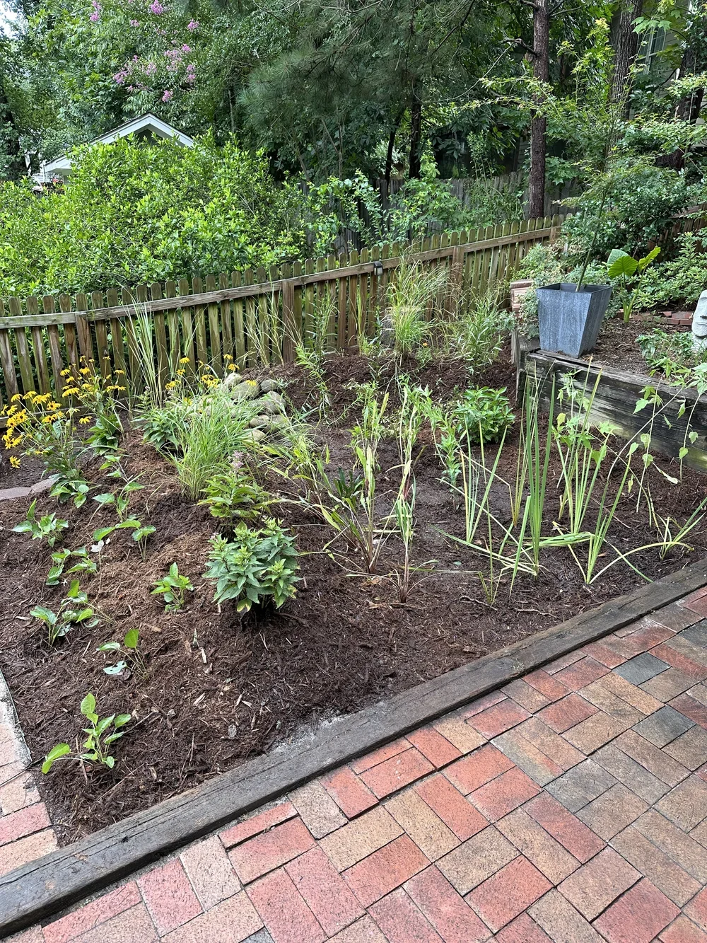 Raleigh Rain Water Rewards rain garden installation