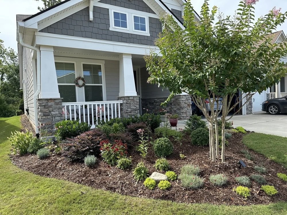 Beautiful newly established front garden with native and ornamentals