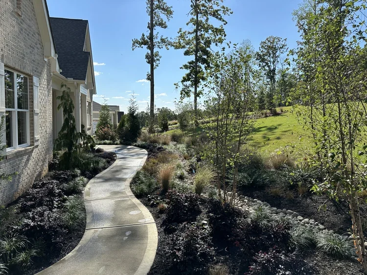 Large plant/tree installations. Ecofriendly storm water management. Simple irrigation installation