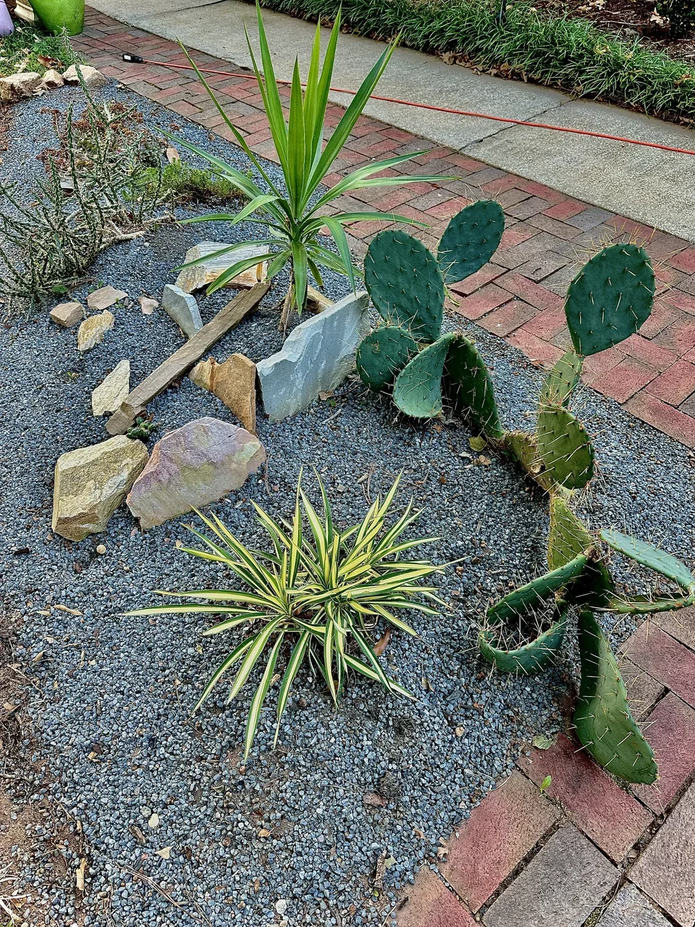 Xeric garden installations