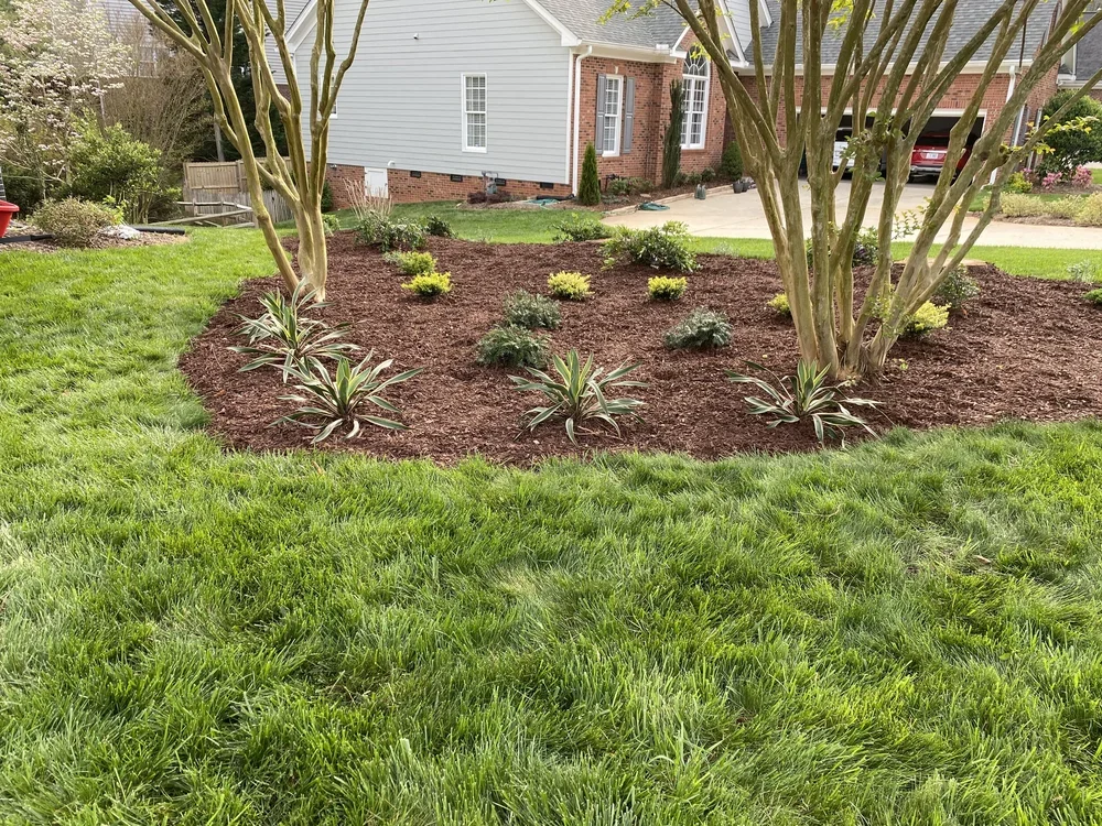 Full-sun landscape design and planting