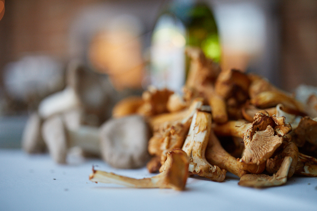 mushrooms at froggys 2_for web.jpg