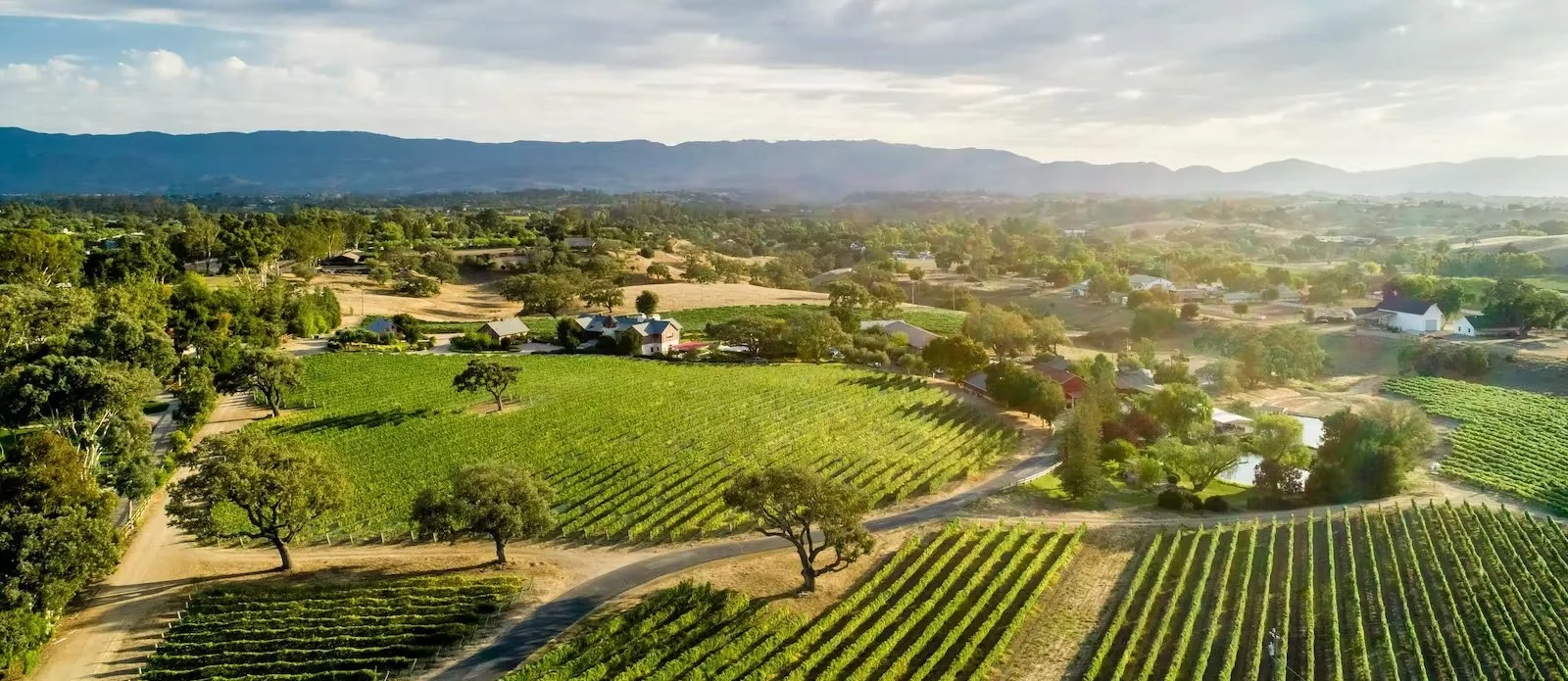 Wine Dinner BECKMEN VINEYARDS