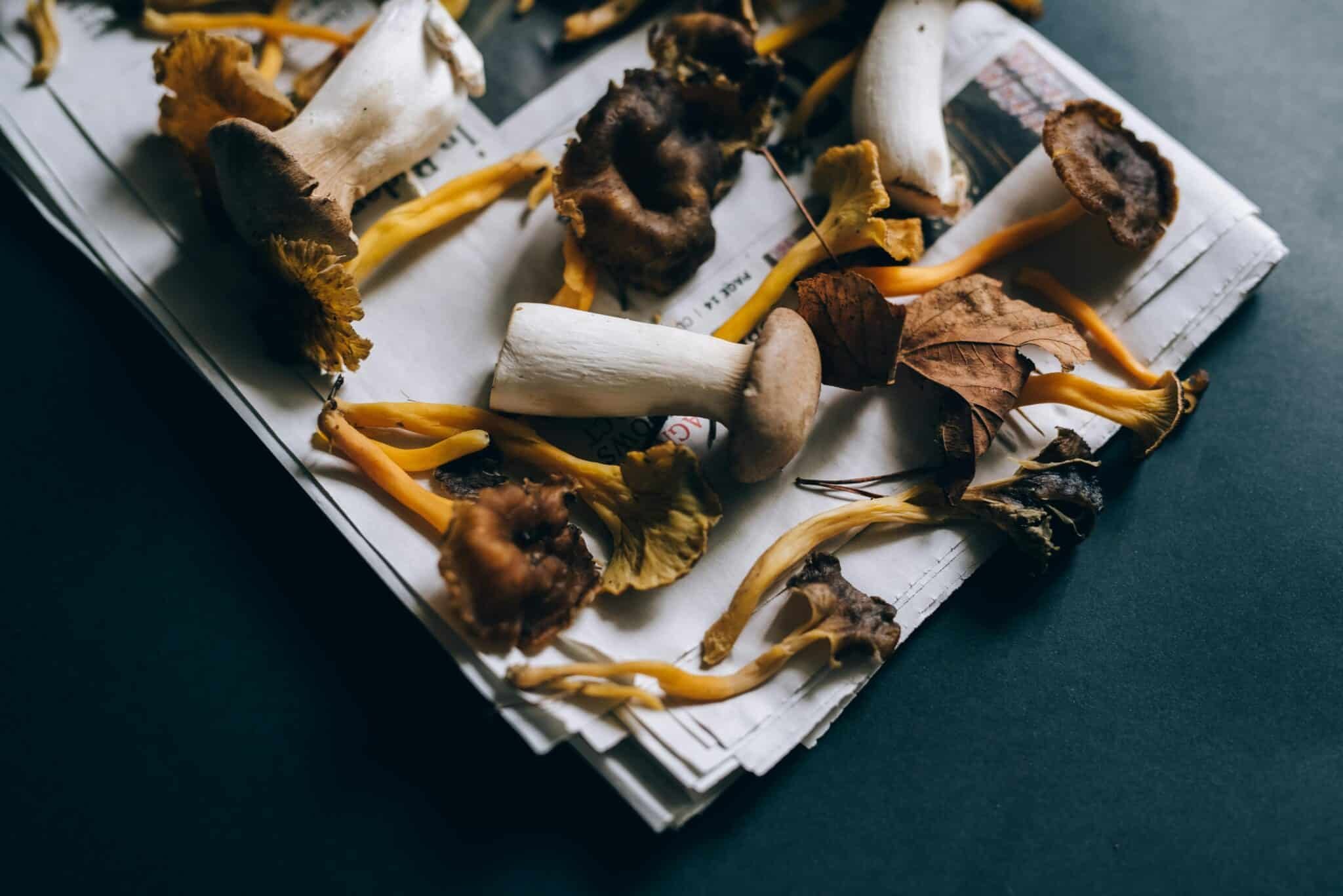 Cooking at Froggy's – CHICKEN 3-Ways and WILD MUSHROOMS