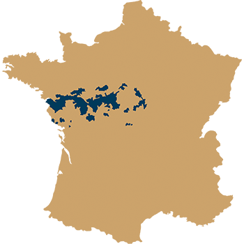 loire-region-resized.webp