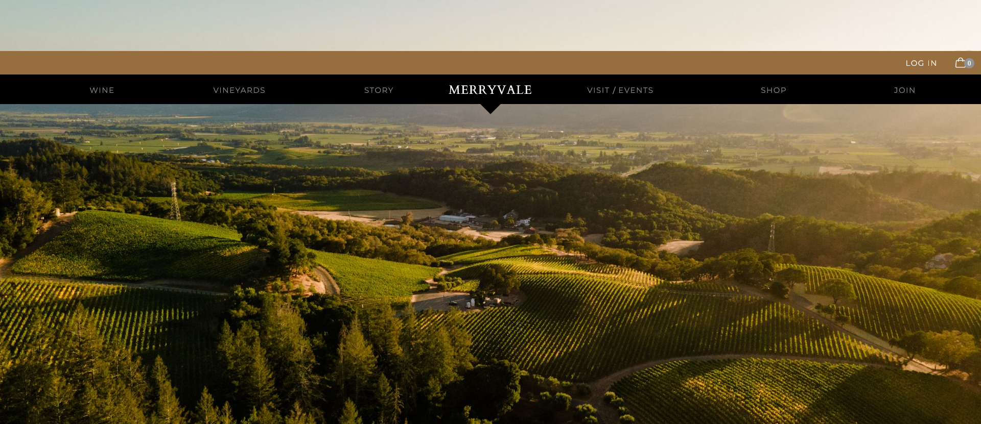 Screenshot 2026-02-11 at 15-23-30 Home - Merryvale.png