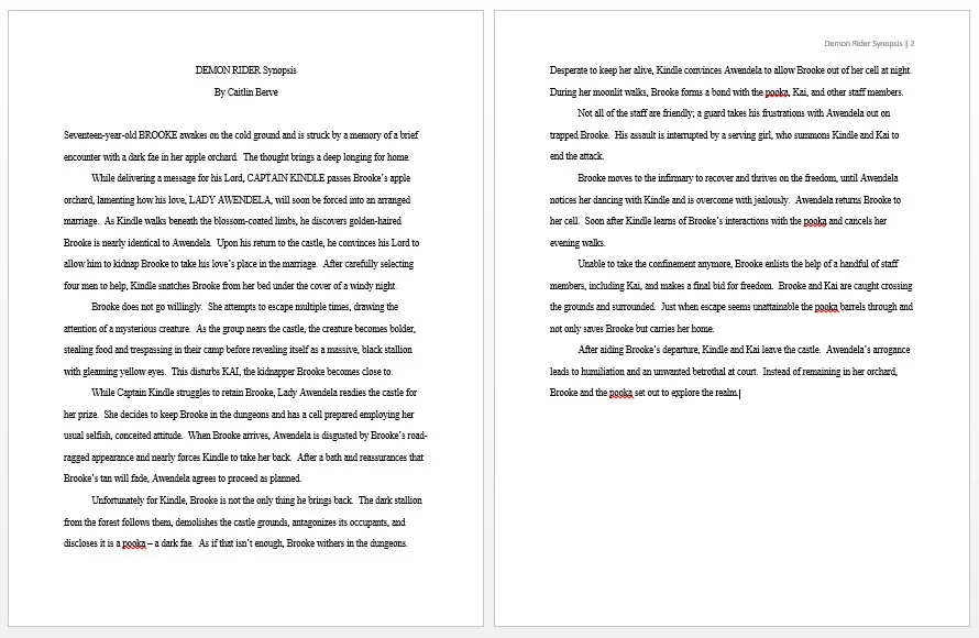 Summarizing Your Story: How to Write a Captivating Synopsis — Read Blog ...