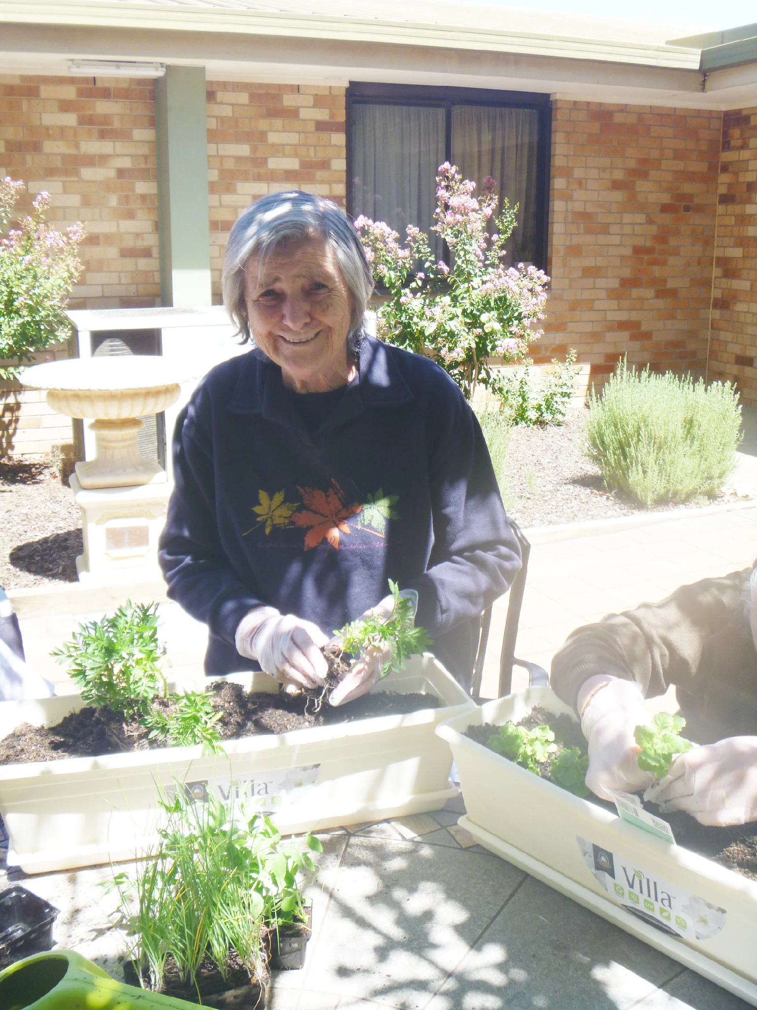 Glorious Weather for Gardening