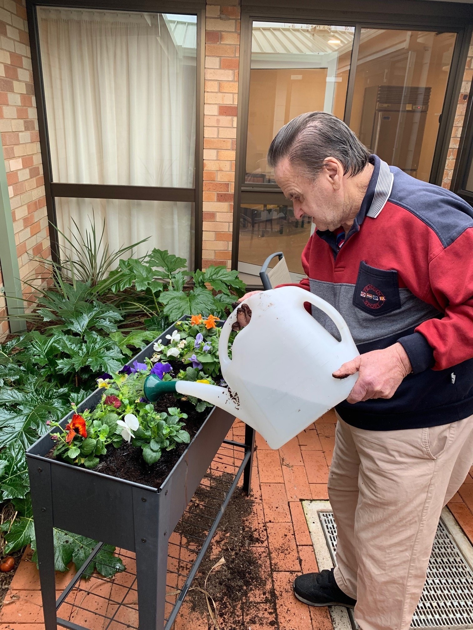 David+watering+pansies+Aug+2019.jpg