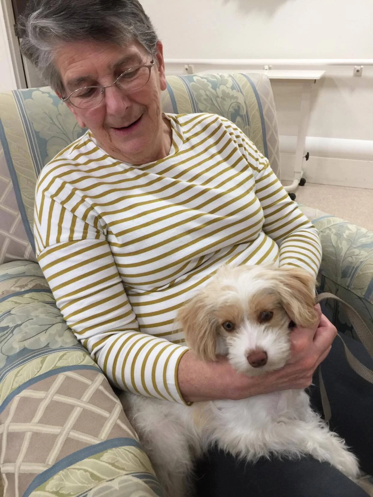 Puppy love at Loreto