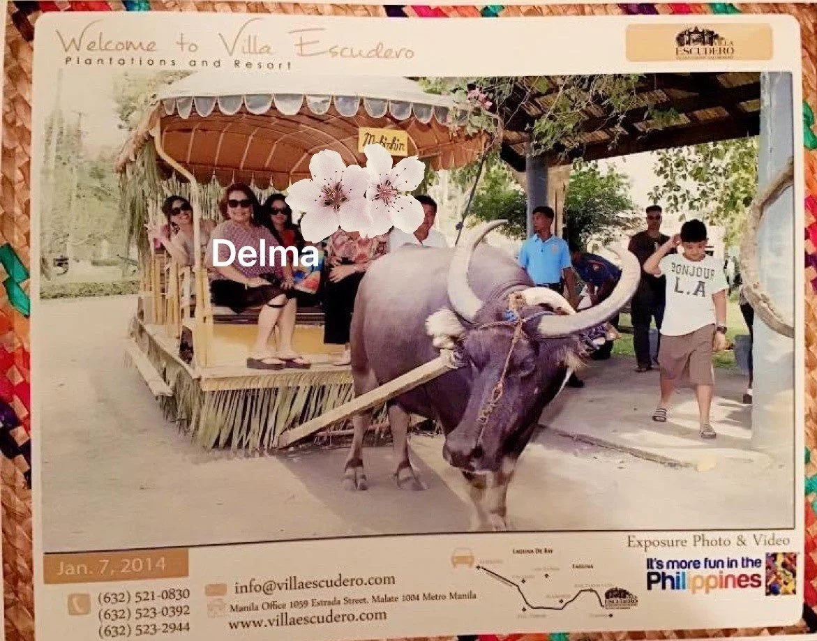 The May 2022 newsletter is now available