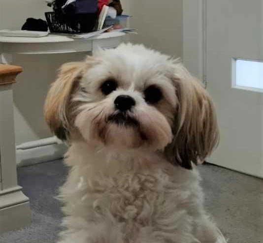 July Newsletter is here!