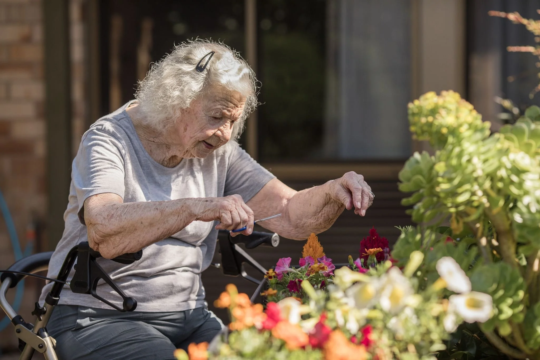 Modern Aged Care Design