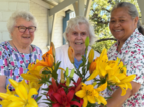 Newsletter - July 2026