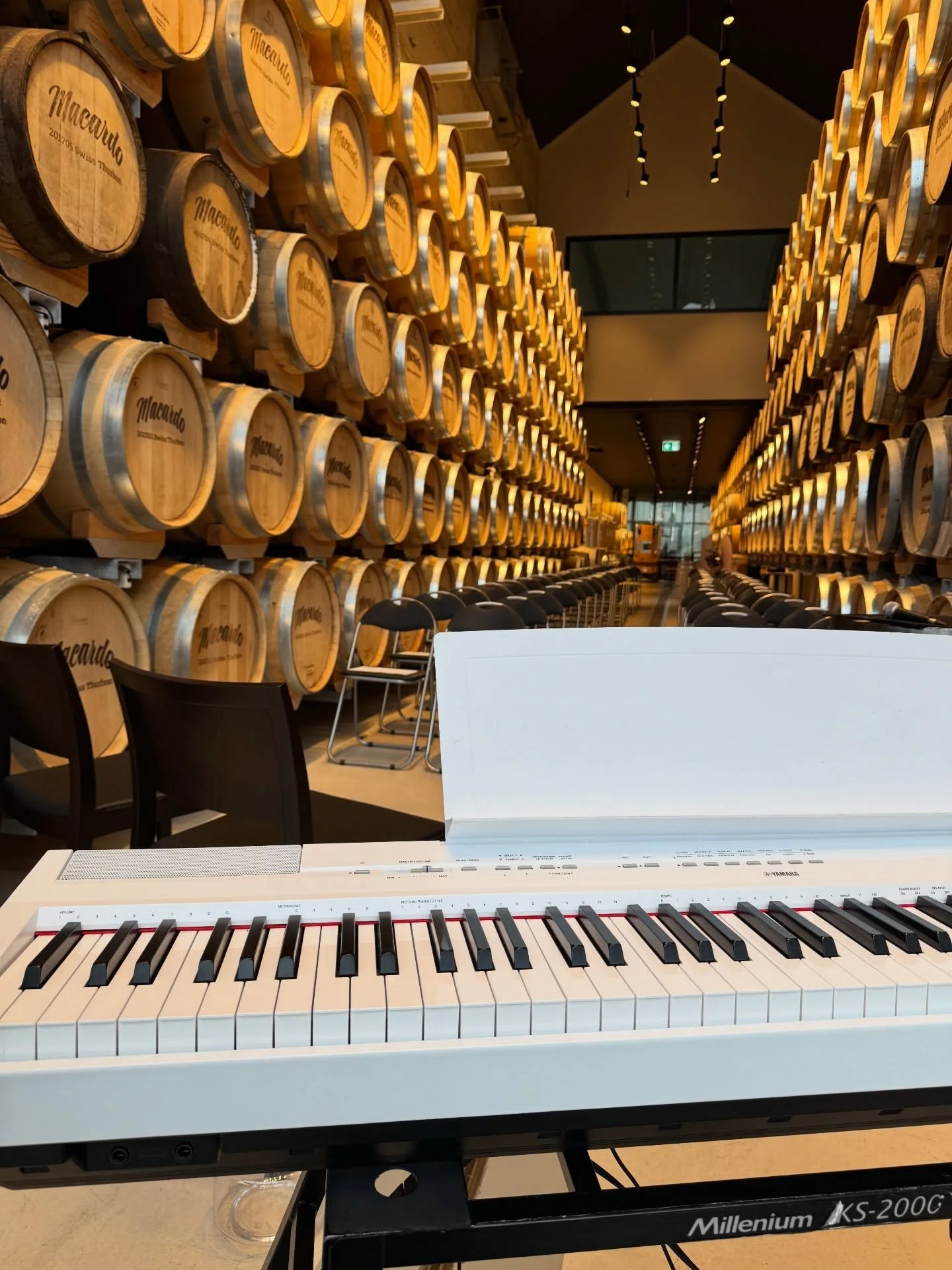 Wirklich eine ganz besondere und sehr k&uuml;nstlerische Atmosph&auml;re in der Macardo Swiss Distillery bei meiner ersten Winterhochzeit in diesem Jahr. 🩵💙🩵

#Winterhochzeit
#MacardoSwissDistillery
#Eventpianistin
#Hochzeitsmusik
#klavierliebe