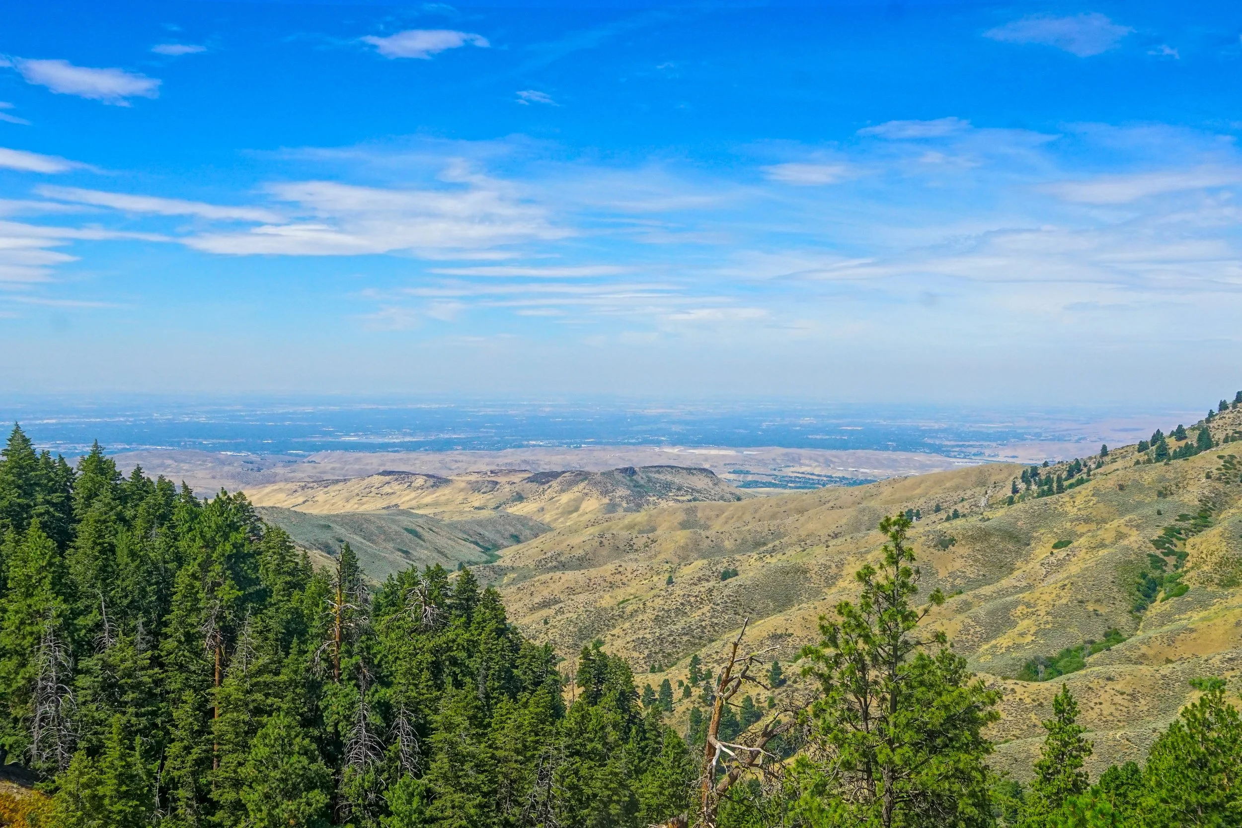 AI and Patient Centered Care? 