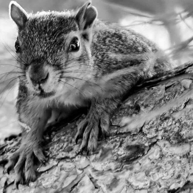 Beyond Enhanced Care Models of Healthcare: Why Patients Must Be True Collaborators in their Care