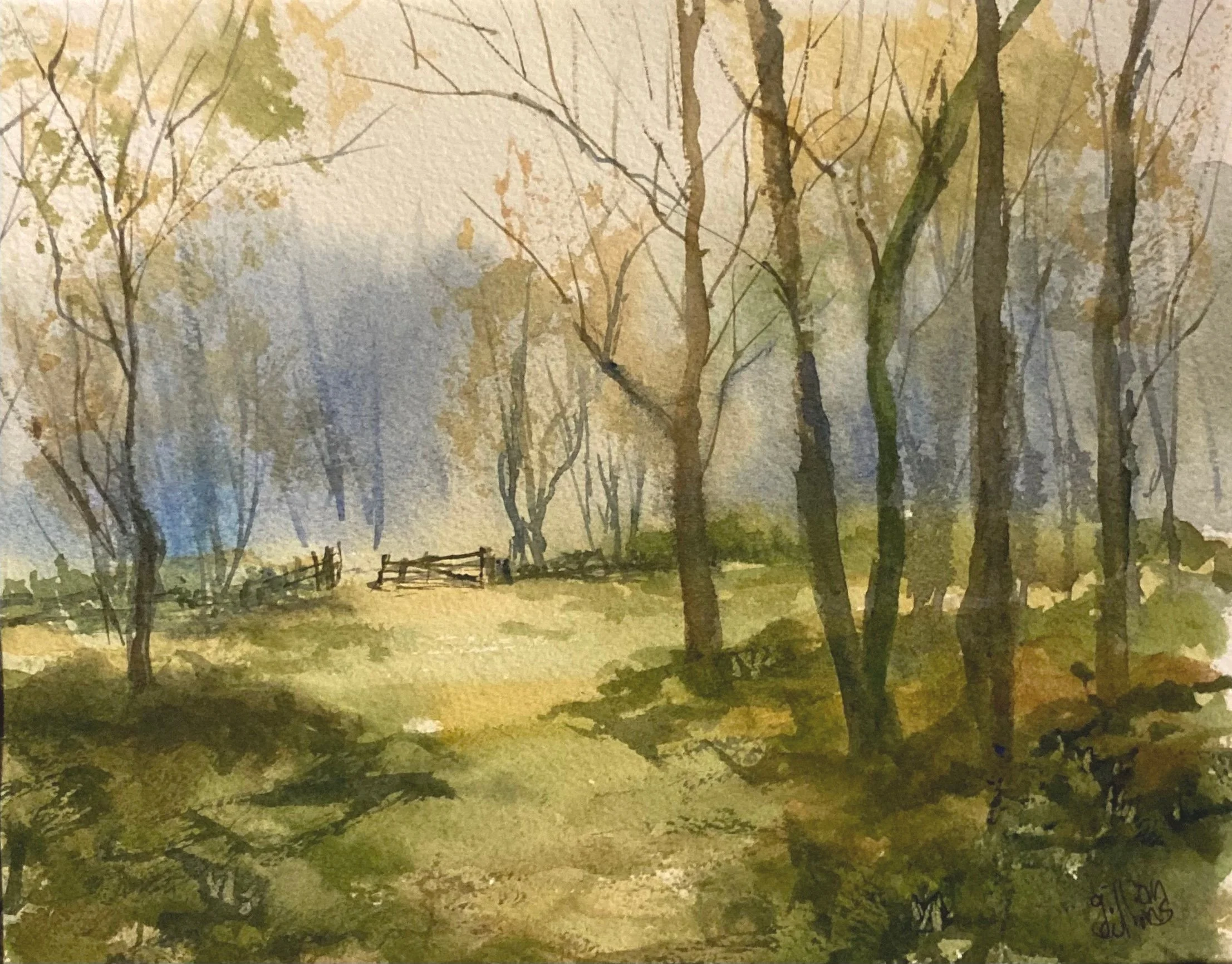 The Forest in Foy Village, Belgium