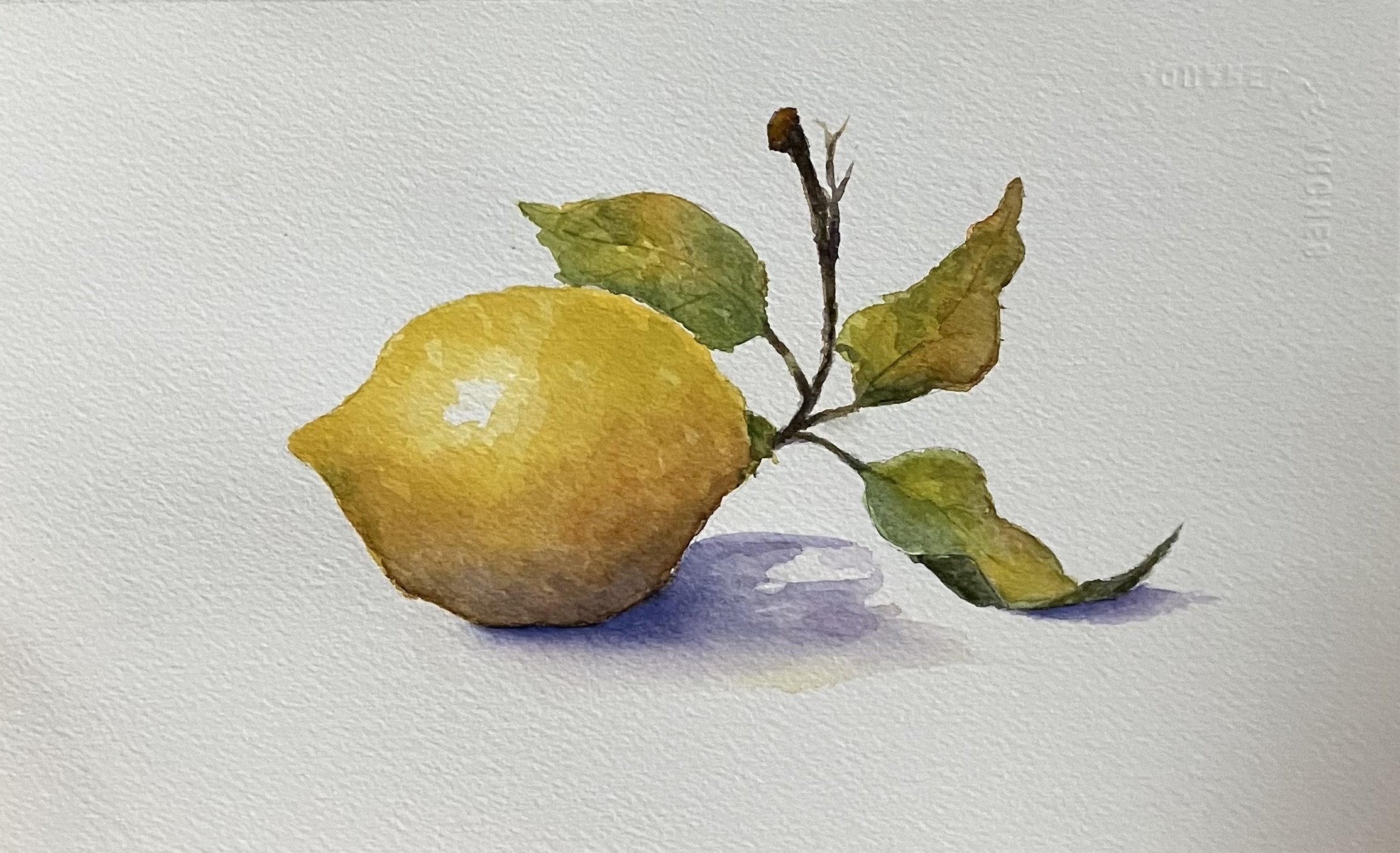 Just a Lemon