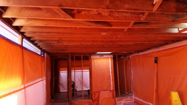 Asbestos Ceiling Texture Removal