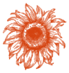 A Shift Happens Sunflower - Red@0.5x.png