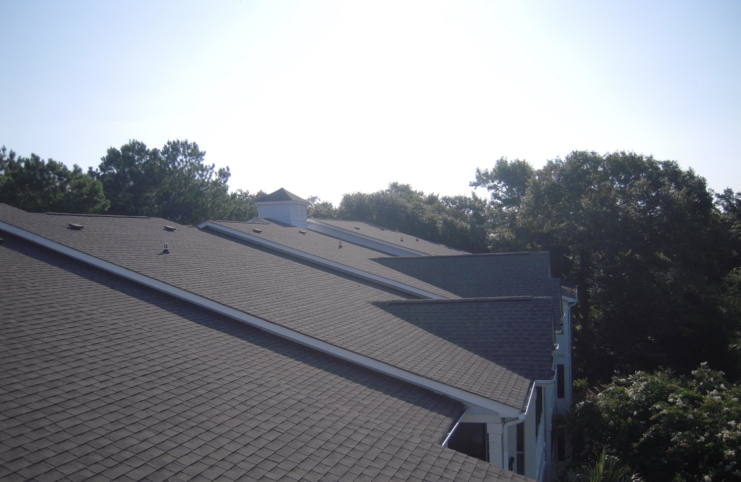 Shingle Roof Without Observable Defects to Lay Person