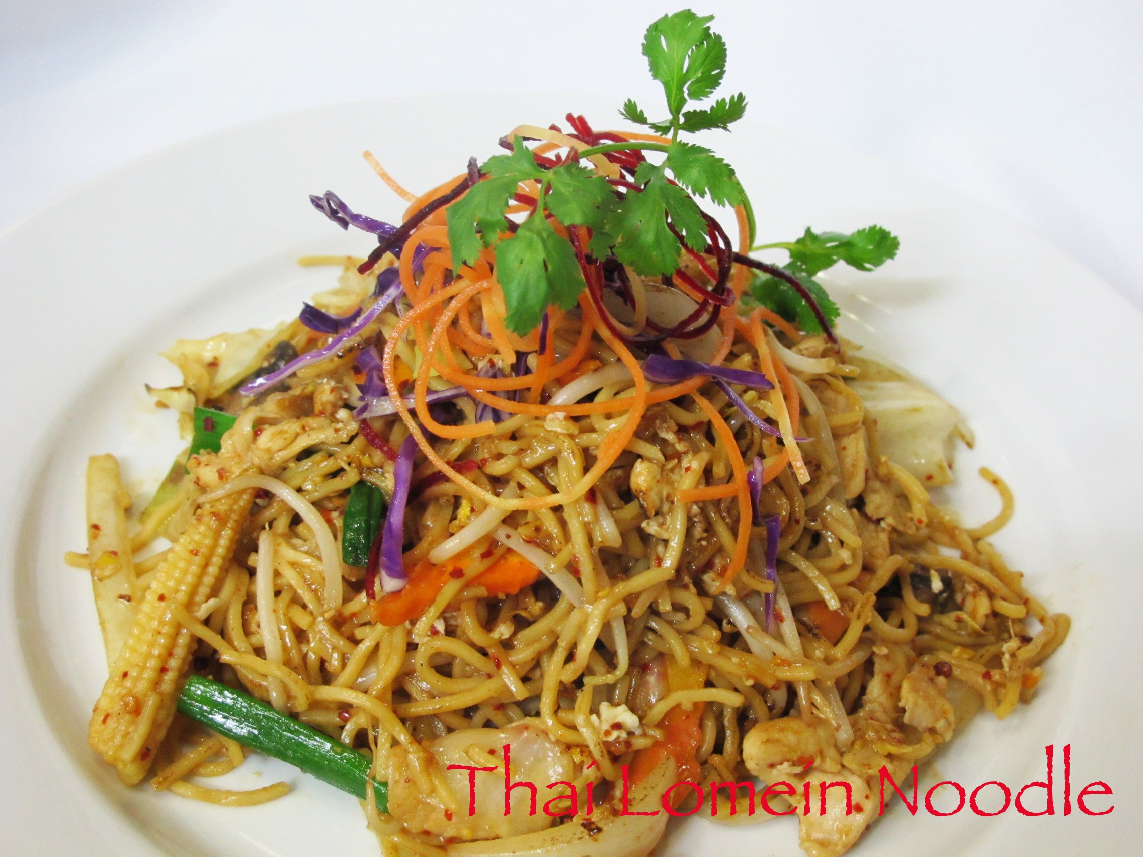 Noodle - Thai Lomein Noodle (2).jpg