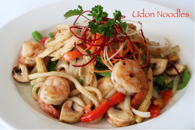 Noodle - Udon Noodles (2).png