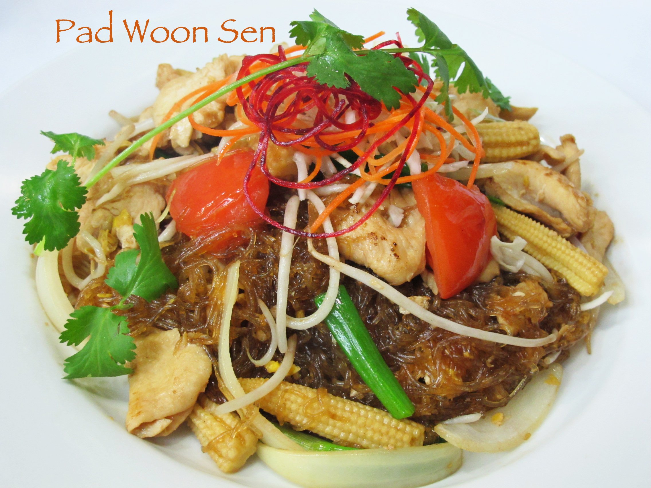 Noodles - Pad Woon Sen (1).jpg