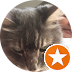 SC_googleReview_001