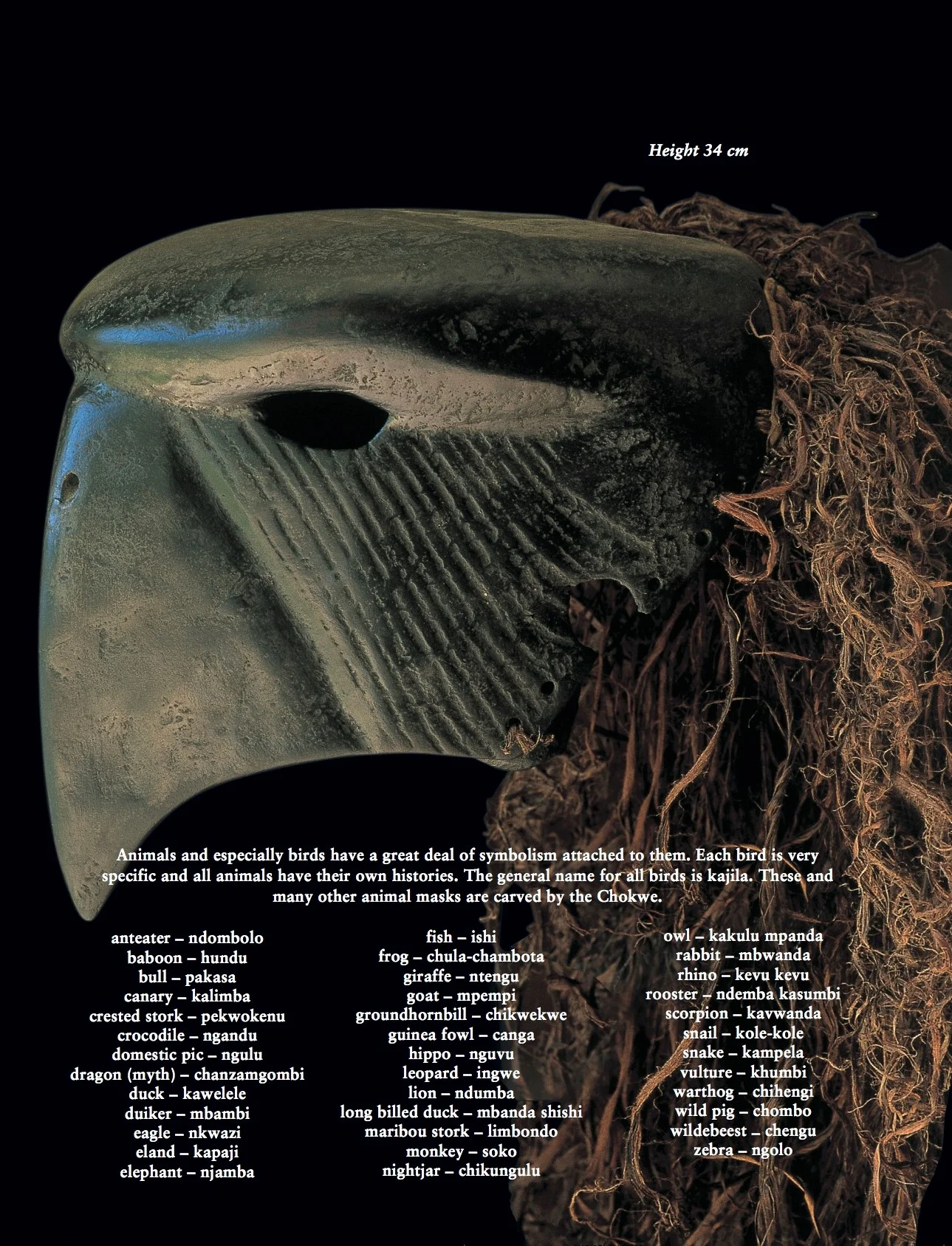 nchokwe book P119.jpg