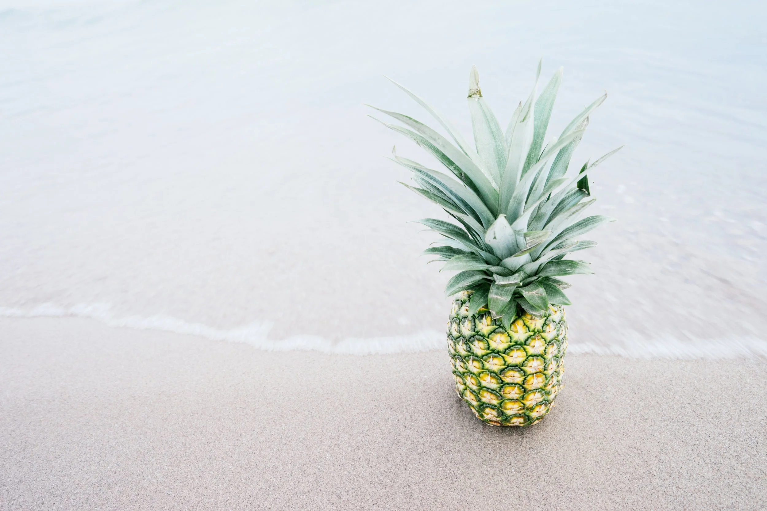 Photo by Pineapple Supply Co. on Unsplash