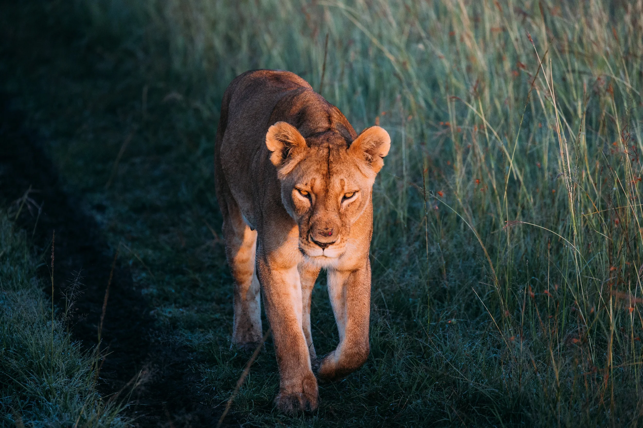 Photo by Jason Charles Hill on Unsplash