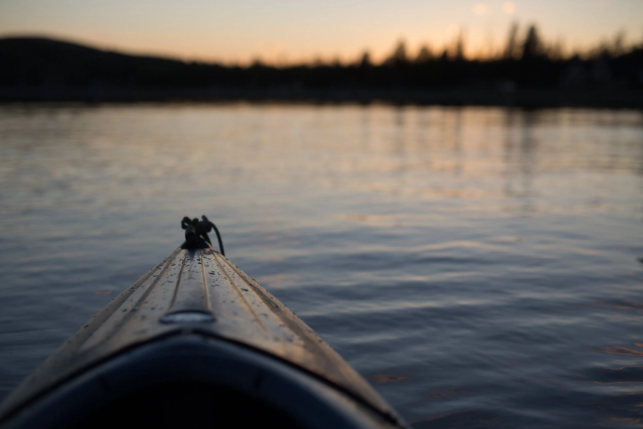 Photo by Carl Heyerdahl on Unsplash