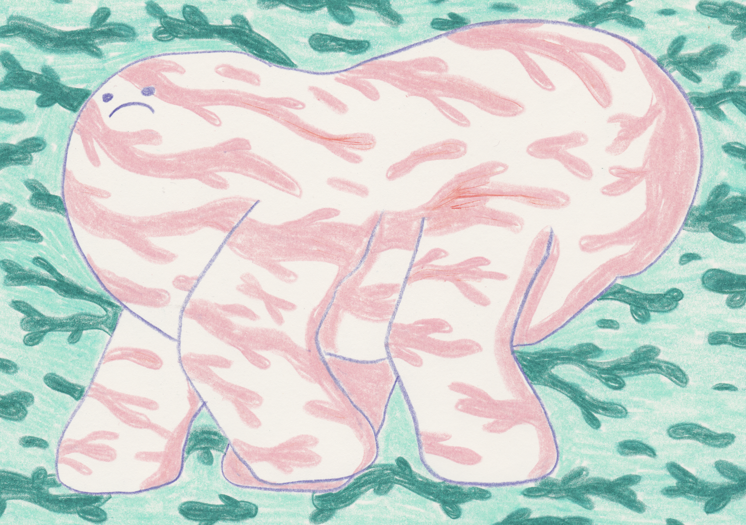 underwater hippopatamus
