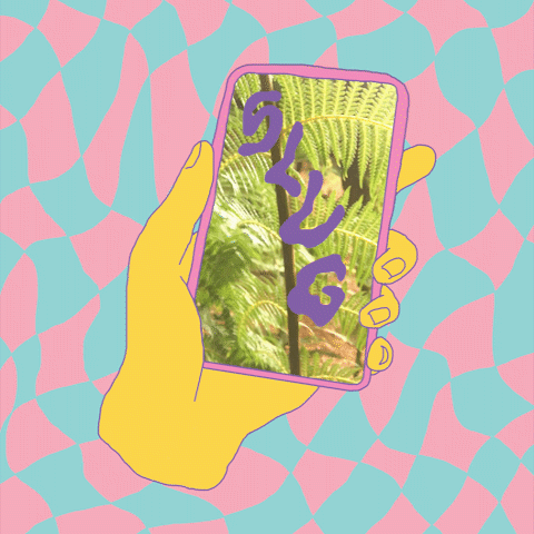 slug gif (sept 2018)