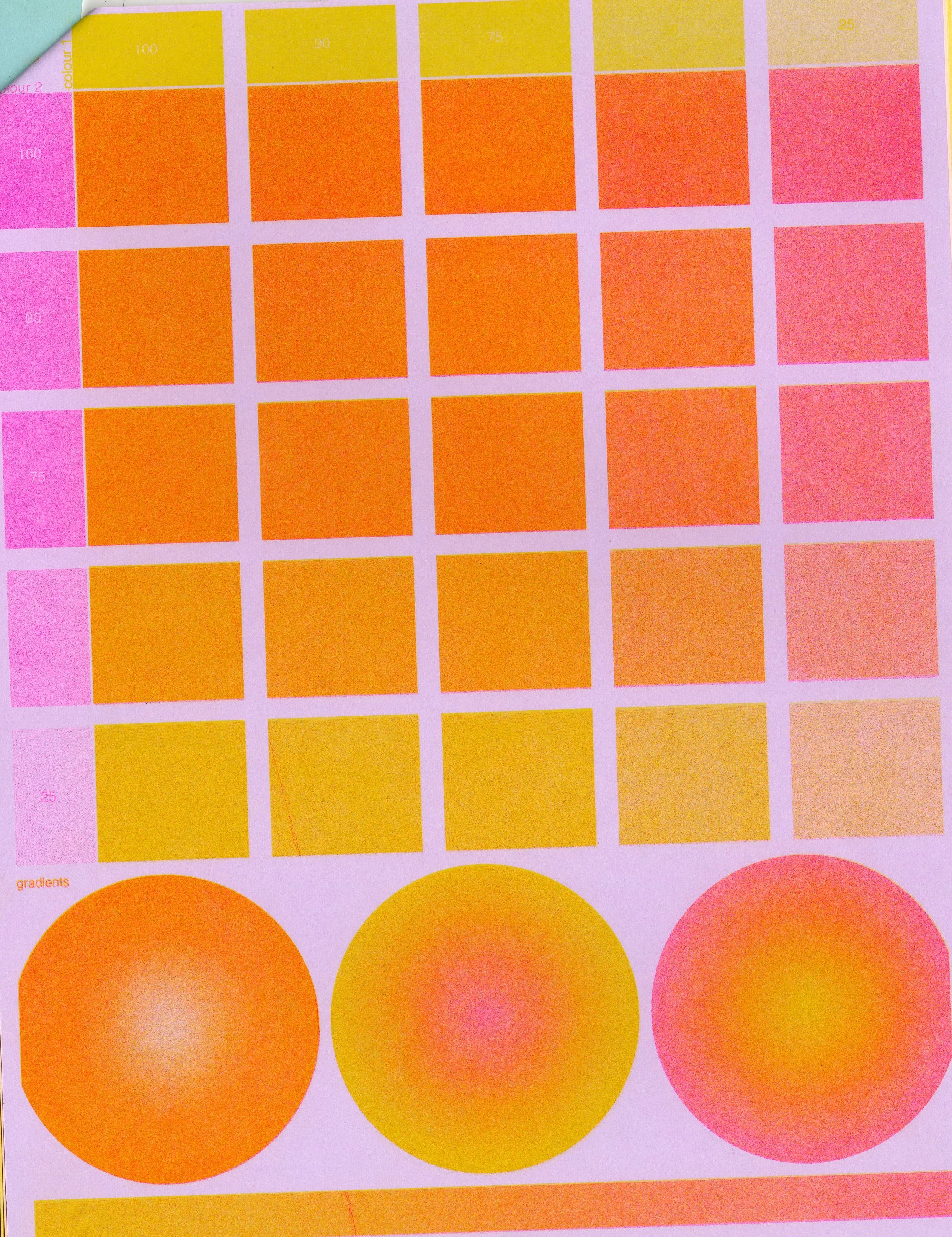 riso two colour007.jpg